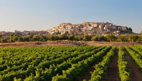 Catalogna Regione mondiale della gastronomia 2025