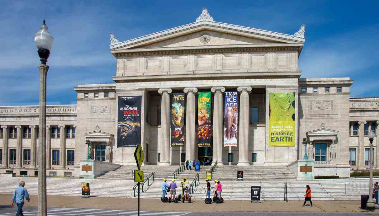 Field Museum ingresso