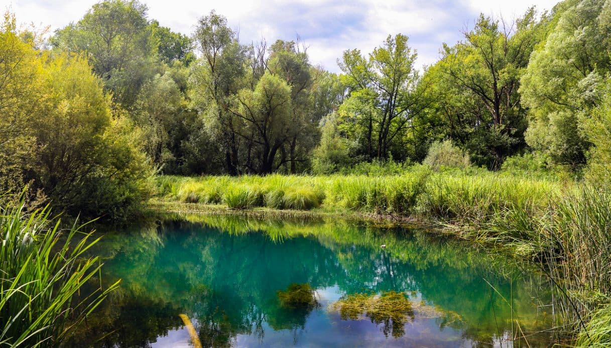 Lago Doberdò, Friuli Venezia Giulia