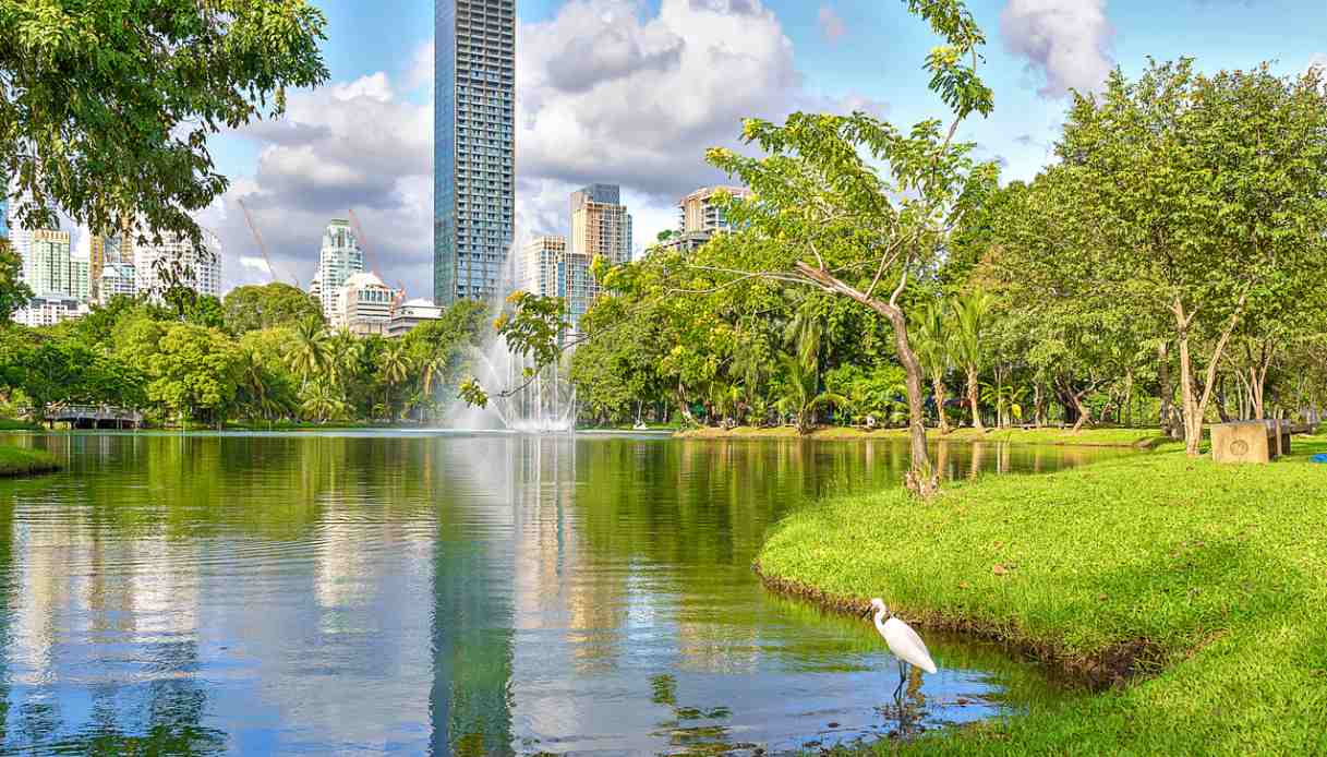 Lumphini Park Bangkok