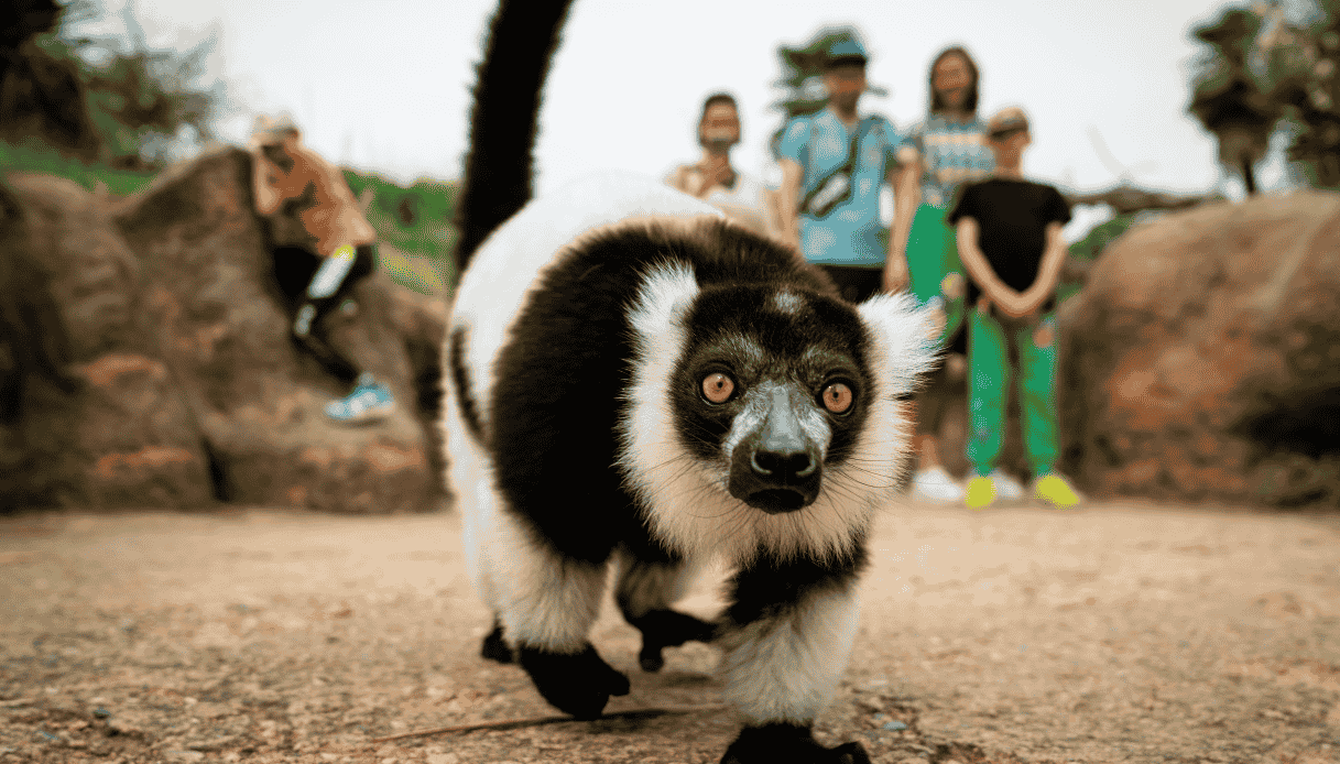 Animali ospiti di Zoom Torino