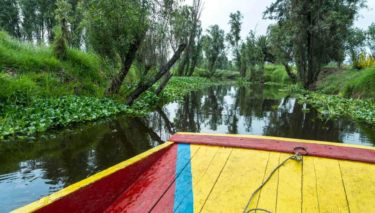 barca canale Xochimilco