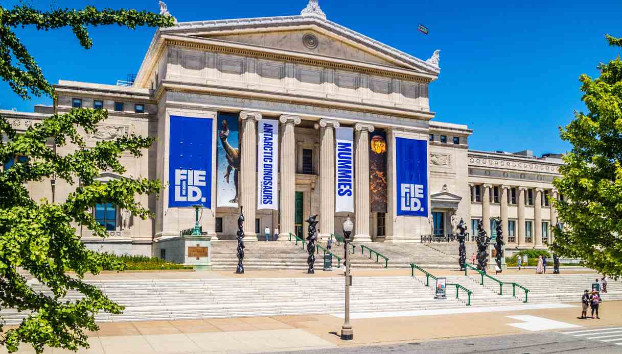 Chicago: scopri il Field Museum, tra scienza e conservazione