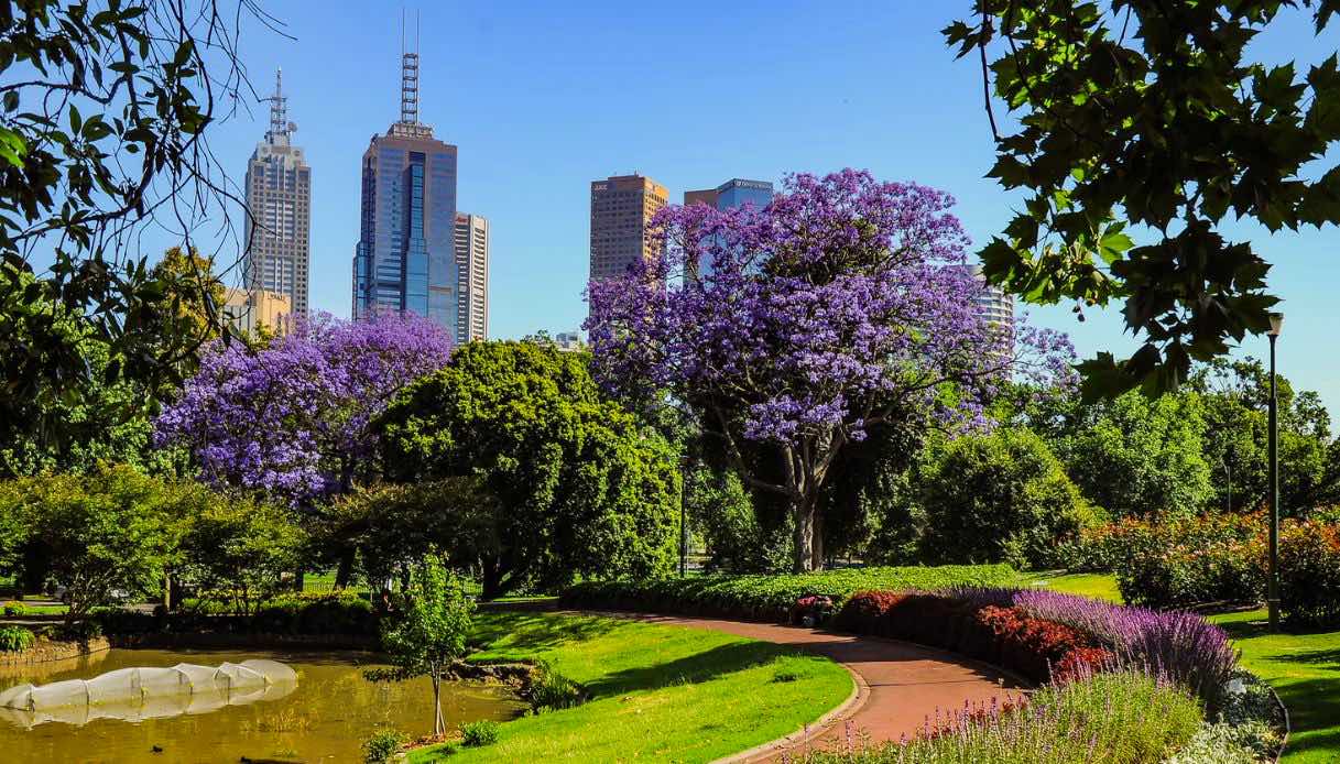 Giardini botanici Melbourne