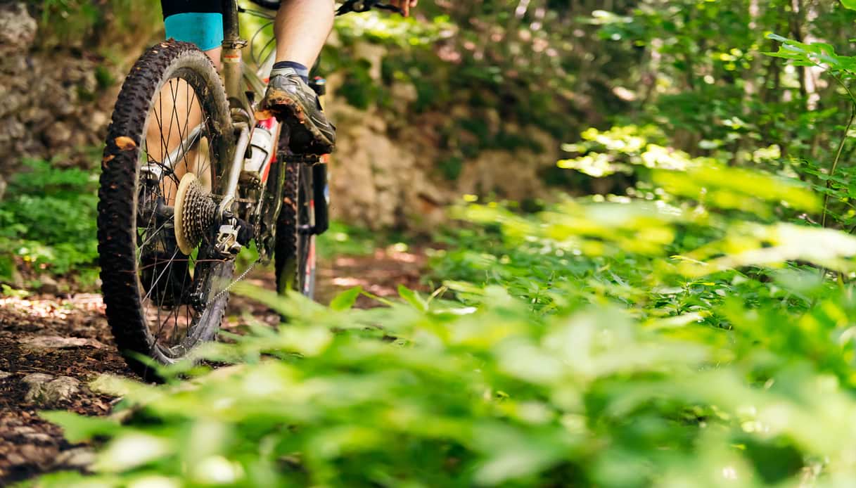 Fare mountain bike in Polonia, a Zakopane