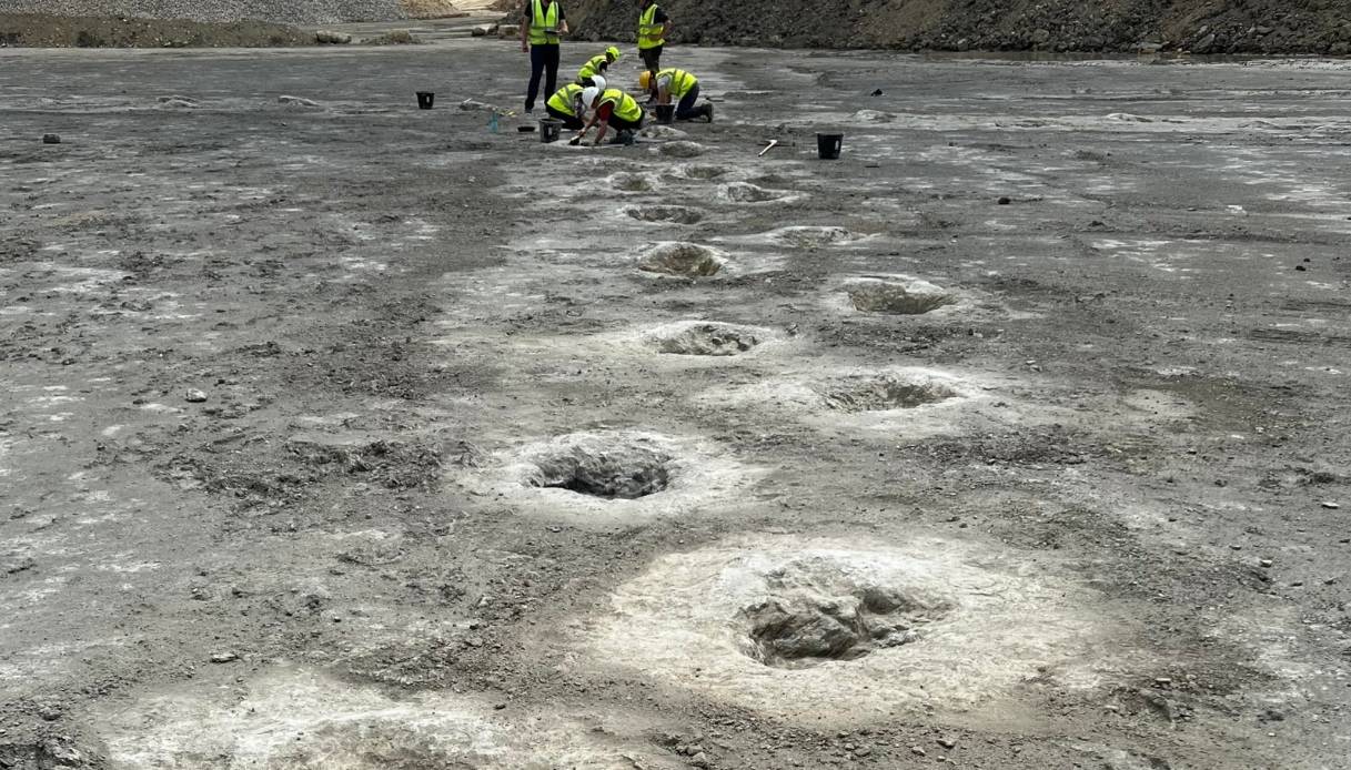 In Inghilterra si torna sulle tracce dei dinosauri: scoperte più di 200 orme