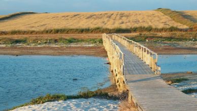 Scoperti a Cabras 6 nuraghi: sorprende un villaggio sommerso
