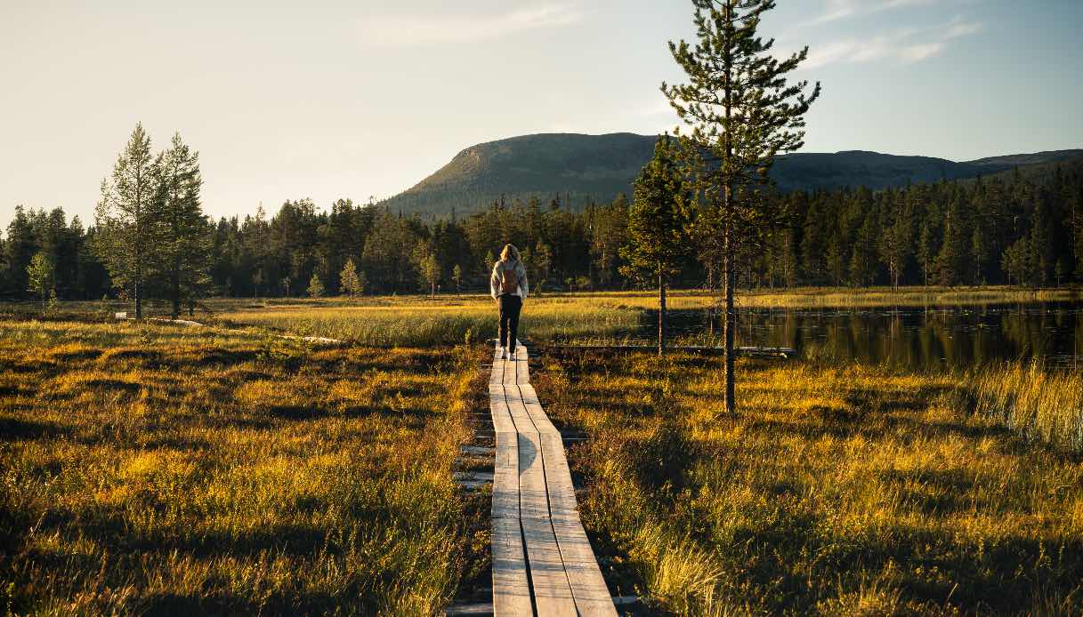 Trekking Svezia