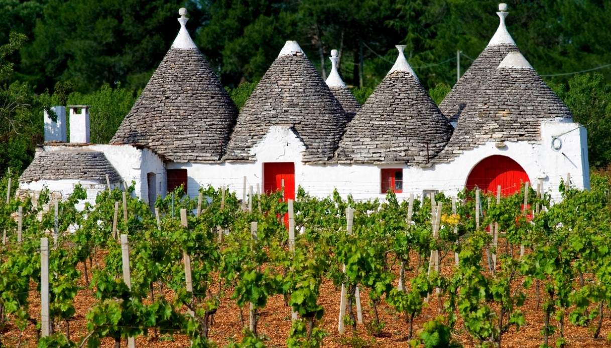 Puglia produzione vinicola