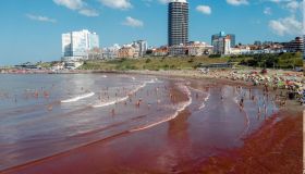In Argentina il mare e le spiagge sono diventate rosse: cosa succede