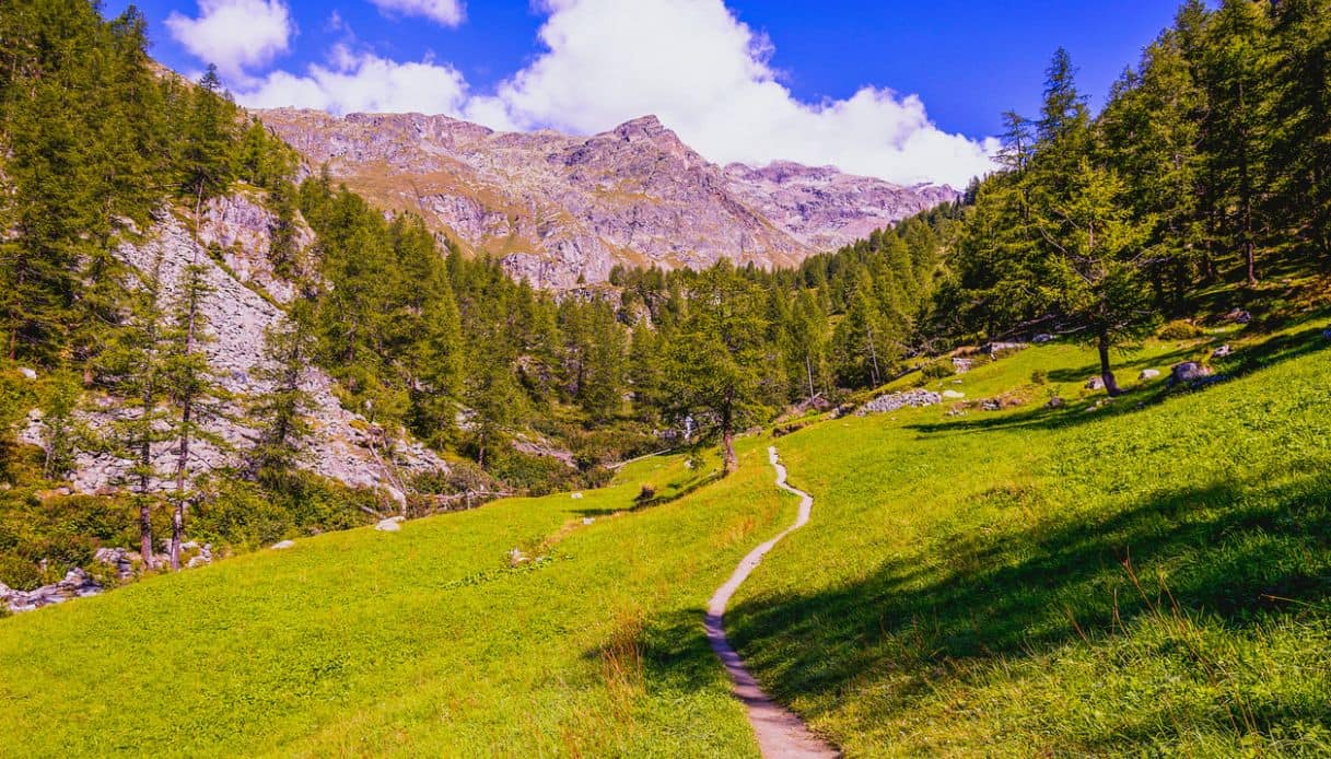 Monte Rosa in estate