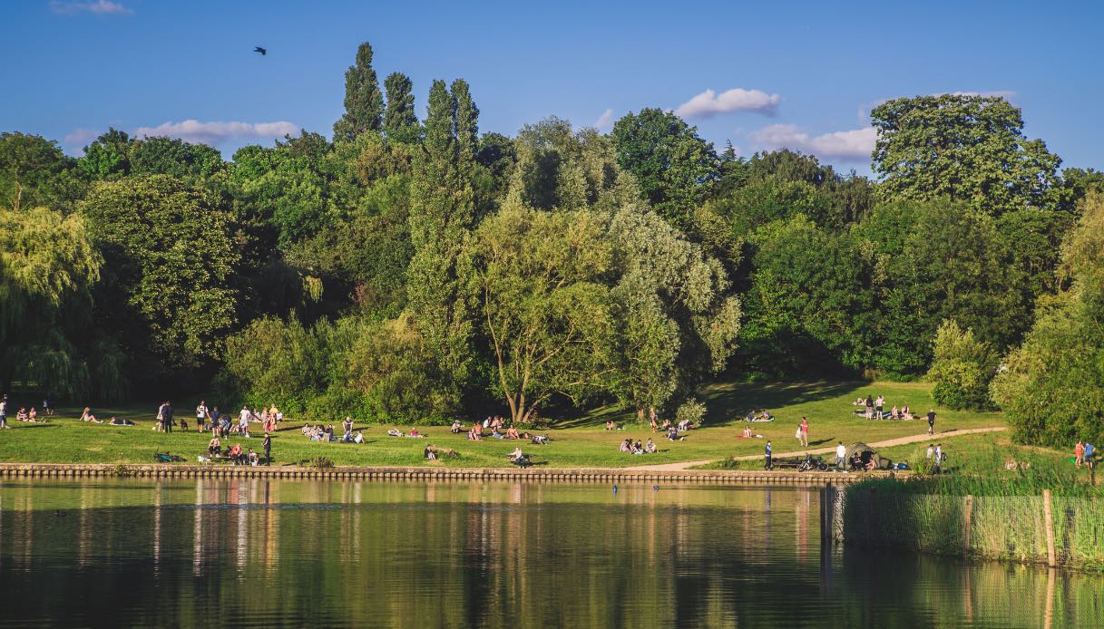 Hampstead Heath