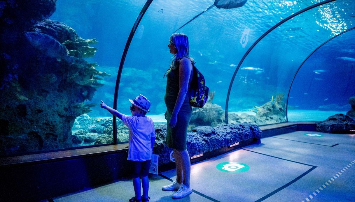 Oceanium di Rotterdam Diergaarde Blijdorp