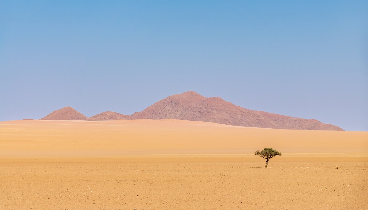 Riserva naturale Namibia