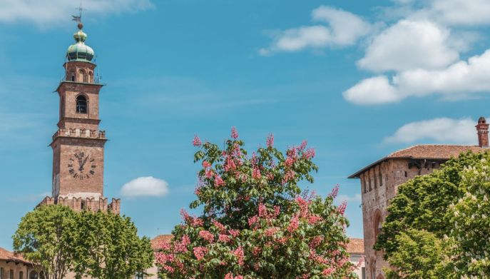 torre di vigevano