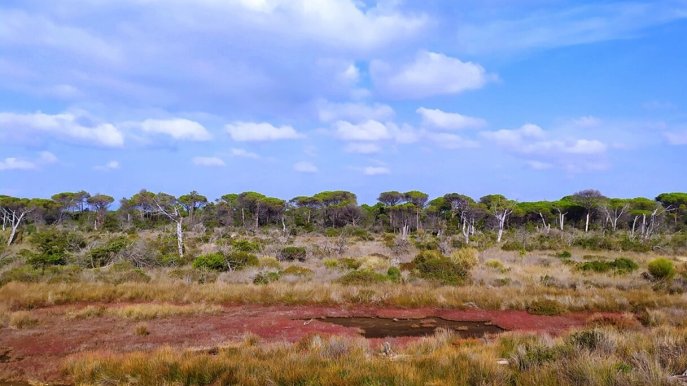Bocca d’Ombrone, l’acqua dolce incontra il mare nel Parco della Maremma