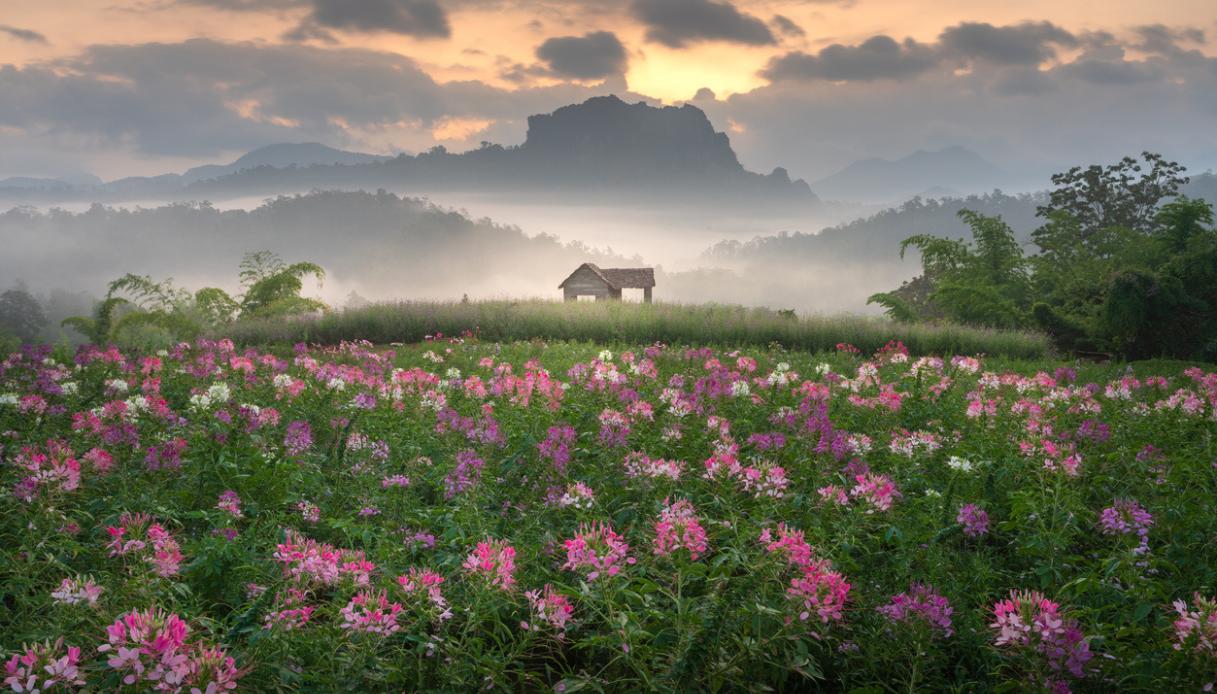 Chiang Dao, viaggio tra la natura e il misticismo di una Thailandia poco nota