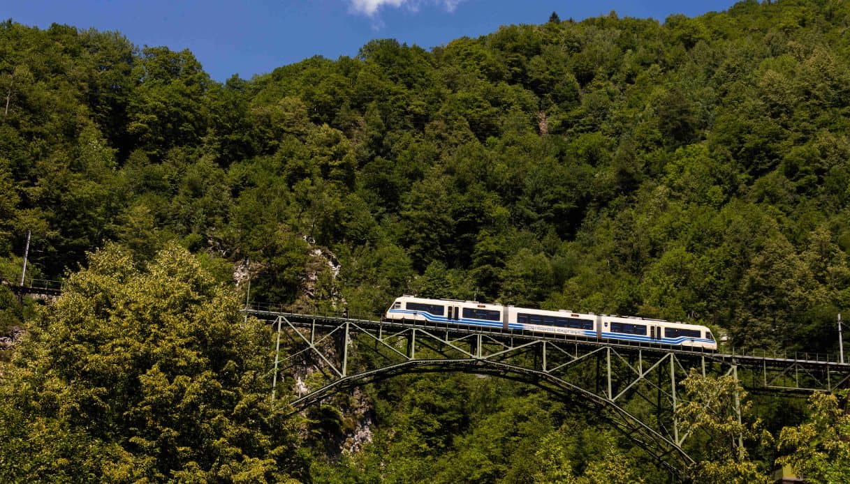 Vino e paesaggi sulla Ferrovia Vigezzina-Centovalli: Cantine a bordo