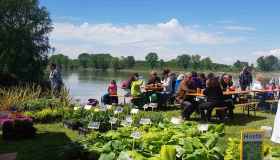 Aria di primavera, le sagre dell’ultimo weekend di marzo in tutta Italia