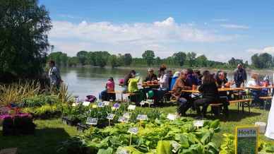 Aria di primavera, le sagre dell’ultimo weekend di marzo in tutta Italia