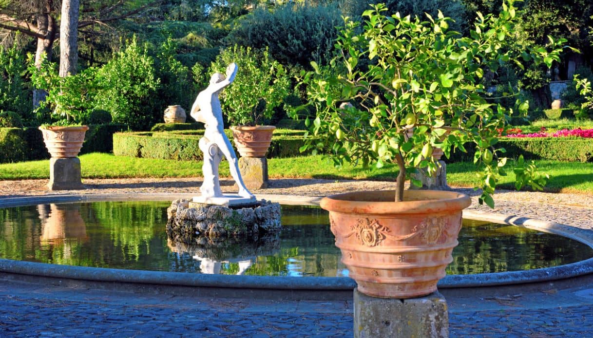 La bellezza dei Giardini Pontifici