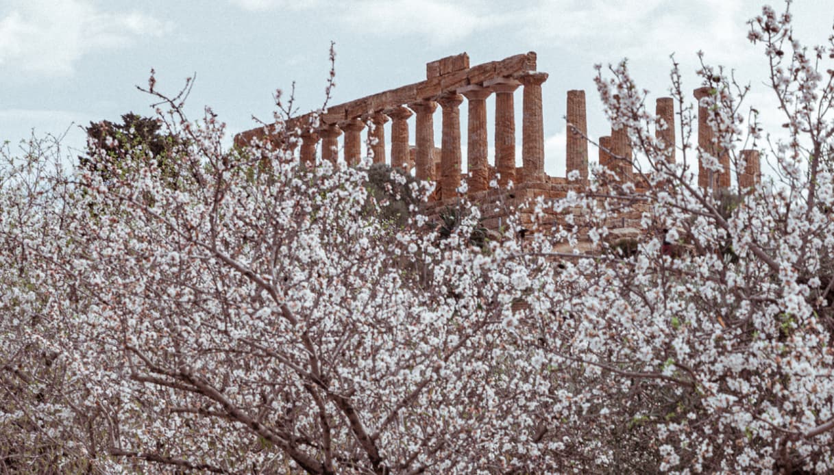 Mandorlo in fiore Express in Sicilia