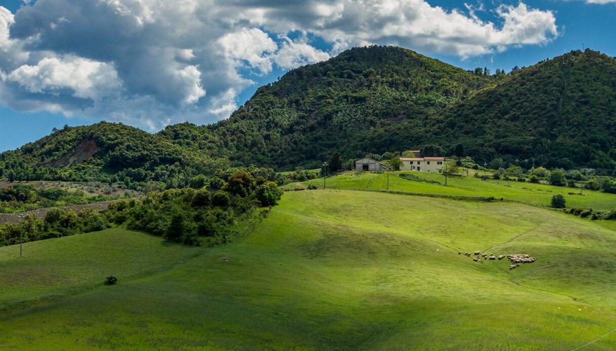 Querceto Montecatini Val di Cecina