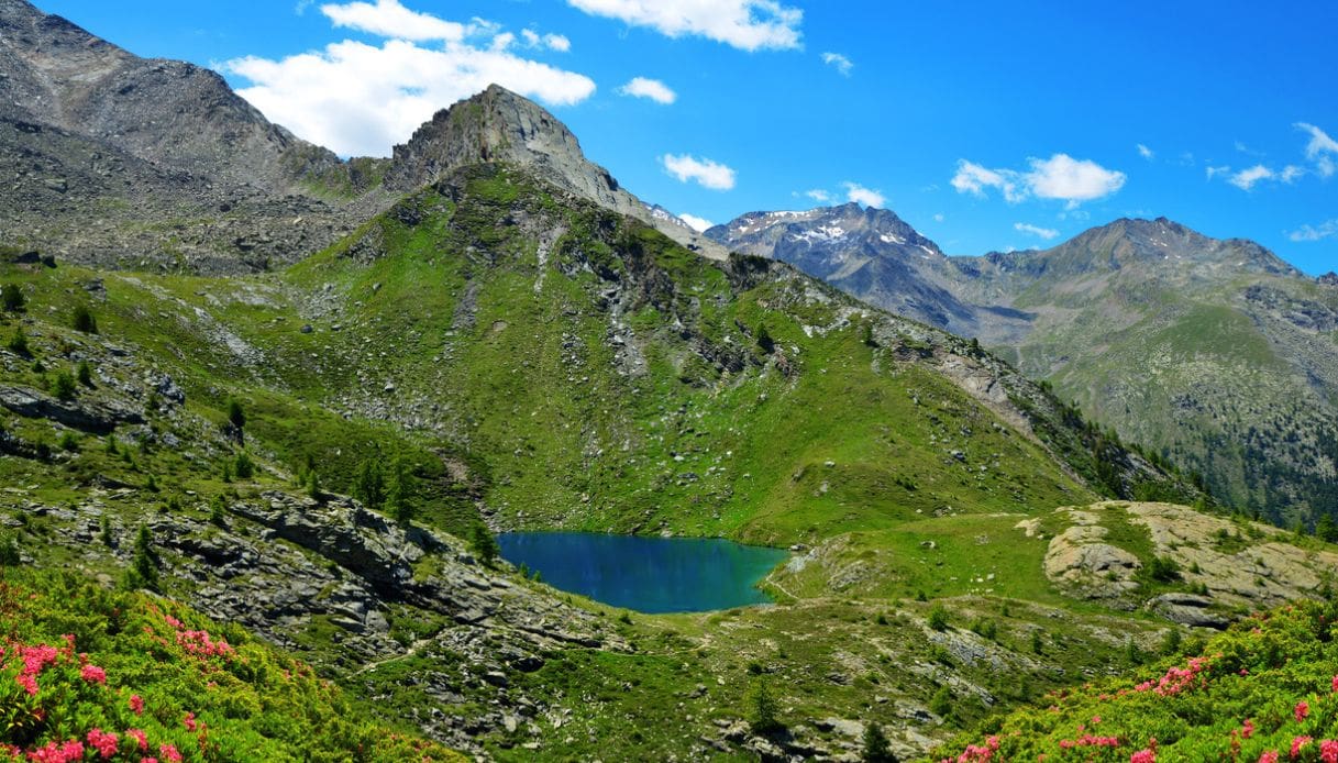 Viaggio al Gran Paradiso: il regno incantato tra le vette alpine