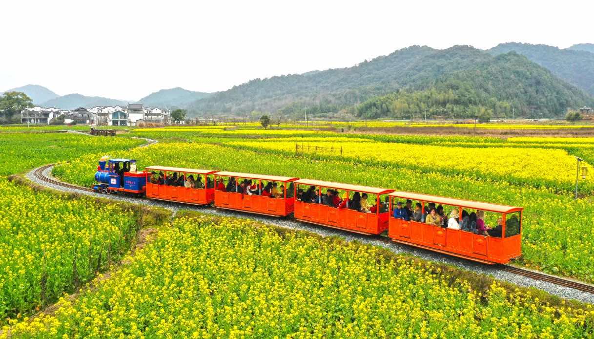 Campi di Colza a Shangrao, Cina