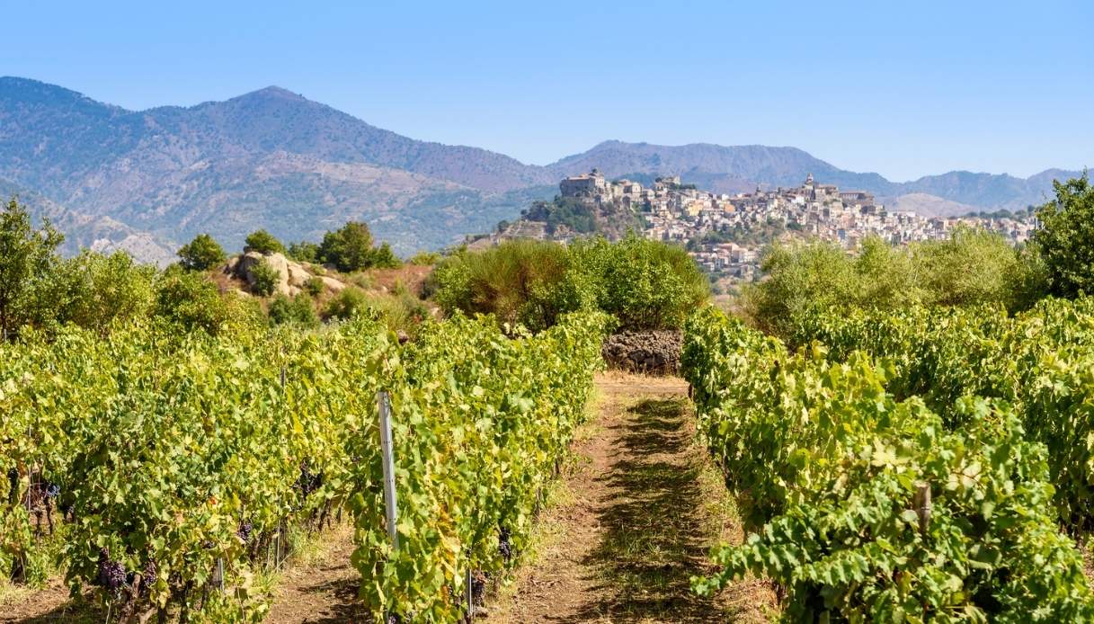 Sta per ripartire il Treno dei Vini dell’Etna: le novità di quest’anno