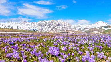 Viaggio on the road di primavera: i giardini italiani più belli da raggiungere in camper