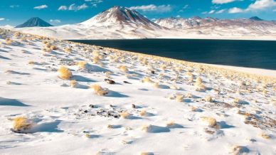 Il deserto di Atacama, il più arido al mondo, ricoperto di neve è uno spettacolo