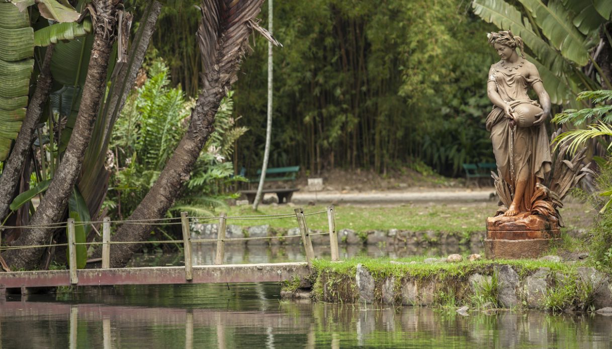 Giardino botanico Rio de Janeiro