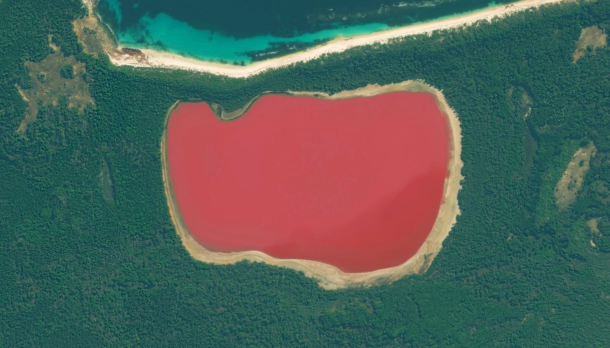 Lago Hiller, il paradiso rosa che sfida la logica e incanta il mondo