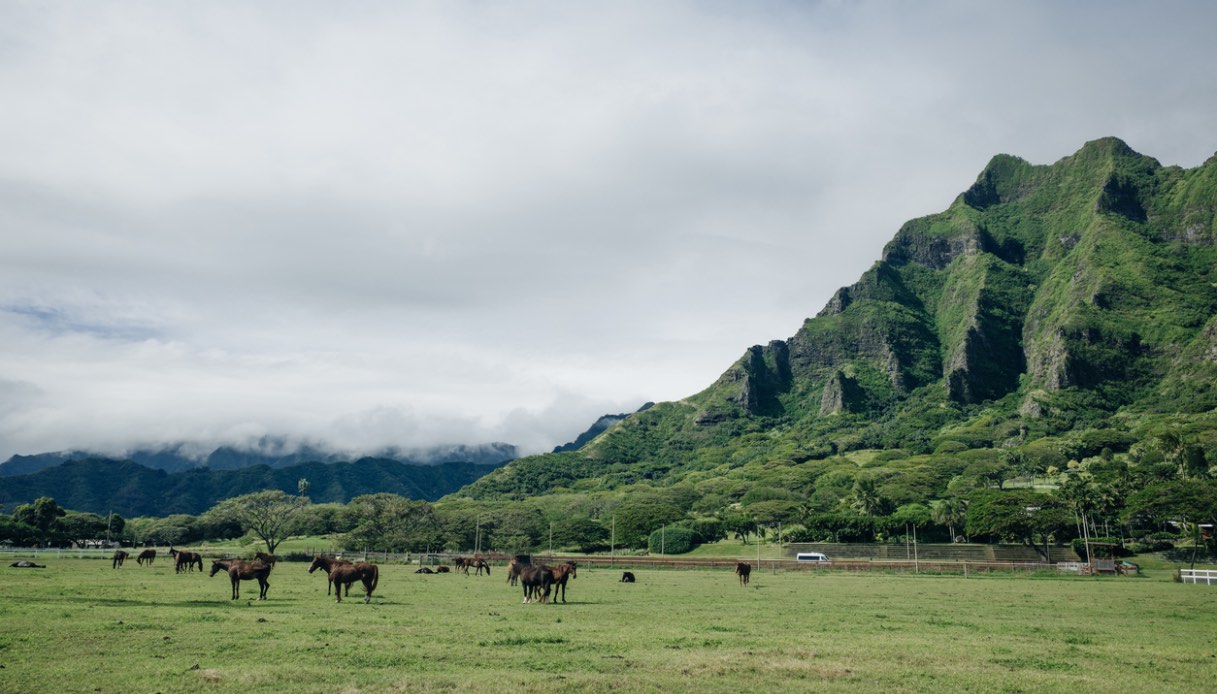 Kualoa Ranch Oahu 