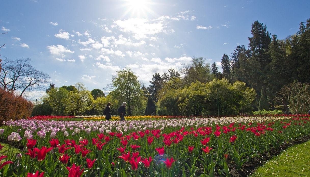 Cosa fare nel weekend? Queste sagre a tema primavera sono imperdibili