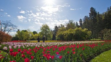 Cosa fare nel weekend? Queste sagre a tema primavera sono imperdibili