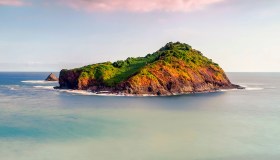 Snake Island, l’isola dove ci sono più serpenti velenosi al mondo