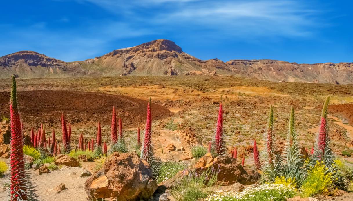 Tenerife