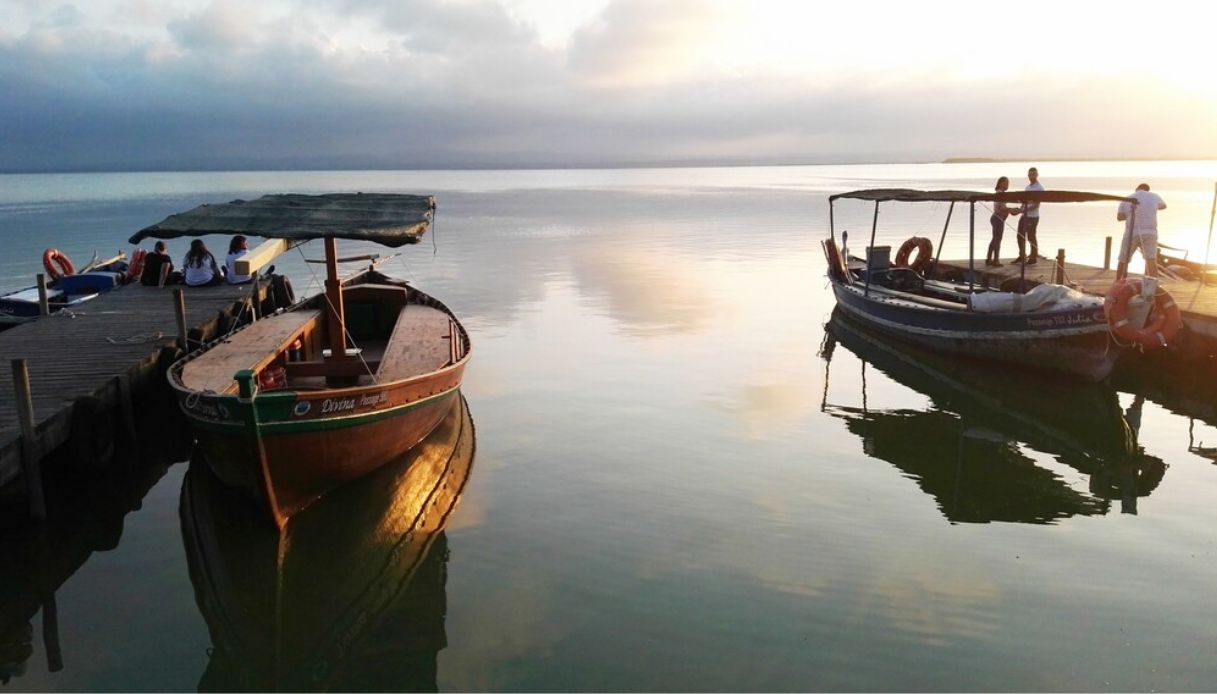 albufera valencia