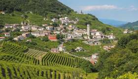 Cammino delle Colline del Prosecco: trekking tra i borghi e i vigneti UNESCO