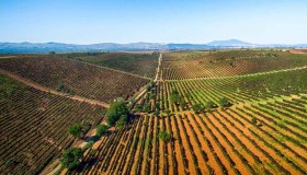 Un viaggio tra storia e sapori, nel cuore della Basilicata