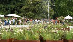 I più bei festival dei fiori di primavera in Italia