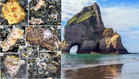 Le spiagge della Nuova Zelanda custodiscono un tesoro: l’isola del Sud è “piena d’oro”