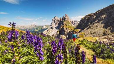 La top 10 dei sentieri italiani più belli per trekking mozzafiato da fare in primavera