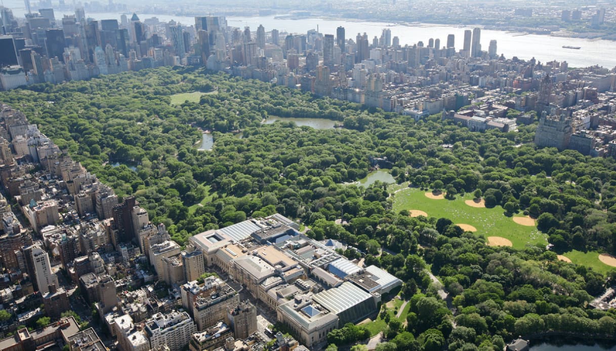 Central Park e Met New York