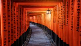 Cosa vedere a Kyoto: tra templi dorati e foreste incantate