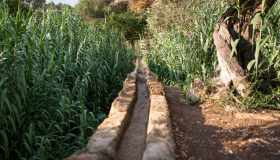 Giardino della Kolymbethra ad Agrigento: angolo di paradiso