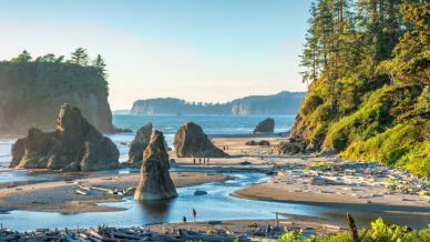 Olympic National Park: cosa vedere e come vivere un’avventura indimenticabile