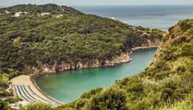 Più blu di così non si può, alla scoperta delle spiagge più belle di Ischia